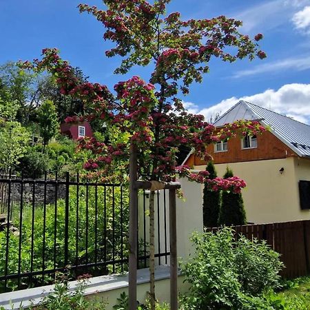 הוילה Banská Štiavnica Siglisberg מראה חיצוני תמונה