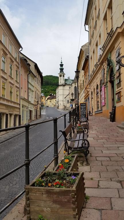 הוילה Banská Štiavnica Siglisberg חדר תמונה