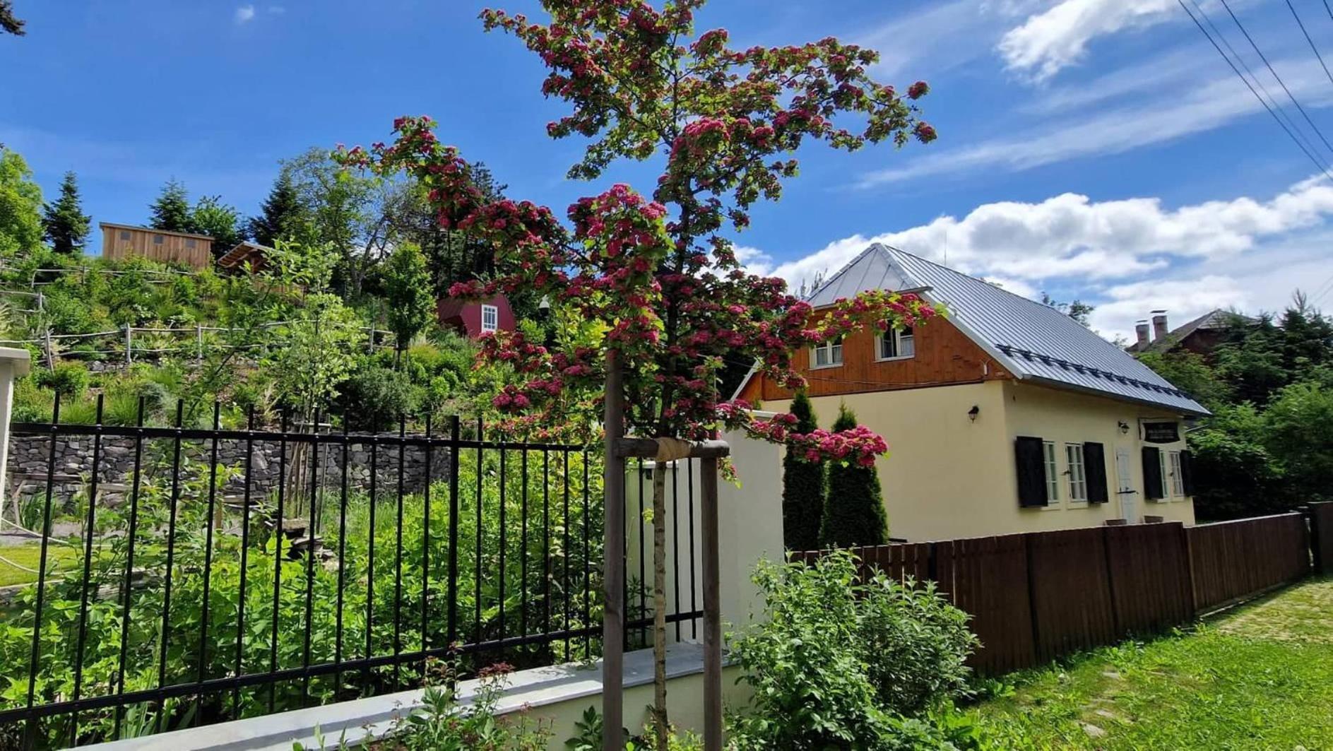 הוילה Banská Štiavnica Siglisberg מראה חיצוני תמונה